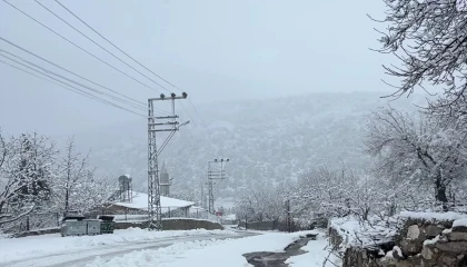 Adanada yaylalarda kar etkili oldu