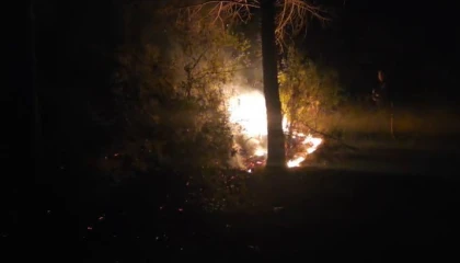 Alanyada ormanlık alanda çıkan yangın büyümeden söndürüldü