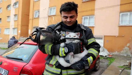 Alevlerin arasından kurtarıldı: İtfaiye hamile kediyi sağ salim çıkardı