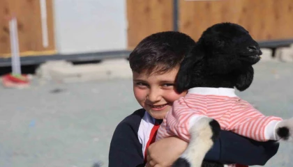 Annesi doğumda telef olan Boncuk kuzu, elbisesi ve biberonuyla ilgi odağı oldu