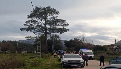 Antalyada kamyonetin kasasından düşen kadın hayatını kaybetti