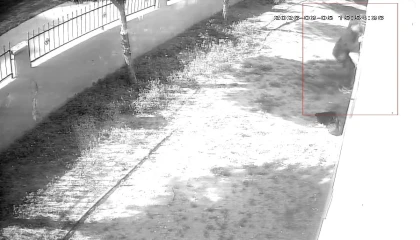 Apartman dairesine tırmanıp girdi, dizüstü bilgisayar çaldı