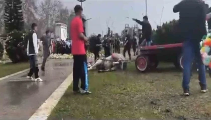 Atını sopa ve tekmeyle bayılttı