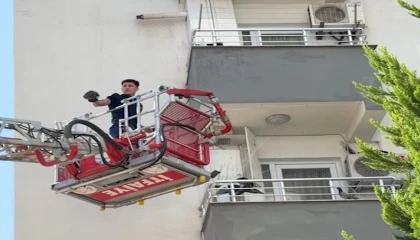 Balkon filesine takılan güvercini itfaiye kurtardı