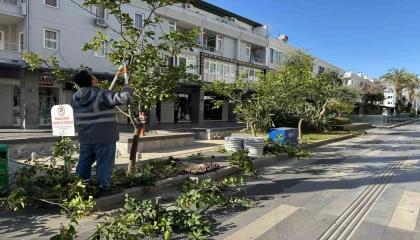 Büyükşehirden Kemerde peyzaj düzenlenesi