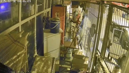 Çalıntı araçla geldiler, marketi soydular: 1 şüpheli tutuklandı