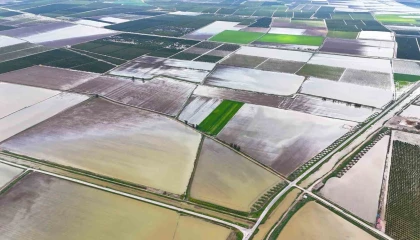 Çukurovayı yağmur vurdu: Tarım arazileri sular altında