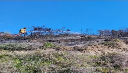 Defnede çıkan bahçe yangınından alevler yükseldi