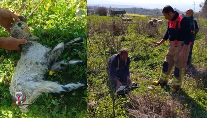 Defnede kuyuya düşen kuzuyu itfaiye kurtardı