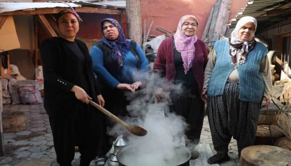 Doğadaki zehirli ot kara kazanda şifaya dönüşüyor