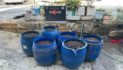 Hatayda 790 litre kaçak alkol ele geçirildi