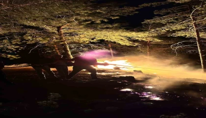 Hatayda ormanlık alanda çıkan yangın büyümeden söndürüldü