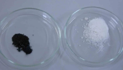 Ispartada endemik bitkiden doğaya zarar vermeden kanserle mücadeleye umut olacak üretim modeli geliştiriliyor