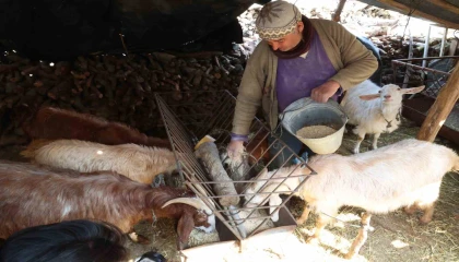 Korkutelinde yem ezme ve kırma makinesi üreticiye kolaylık sağlıyor