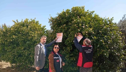 Kozanda arıların korunmasına yönelik çalışma başlatıldı