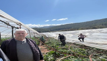 Kumlucada hortum seraları vurdu, 10 dönüm alan zarar gördü