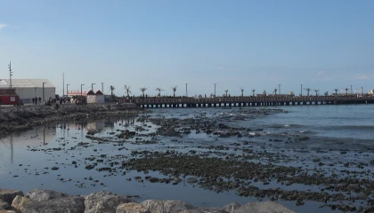 Kuvvetli fırtına sonrası İskenderun Körfezinde deniz suyu çekildi