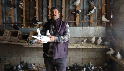 Kuzeninin 7 yaşındayken kendine verdiği güvercinle başlayan hevesini 45 yıldır yaşatıyor