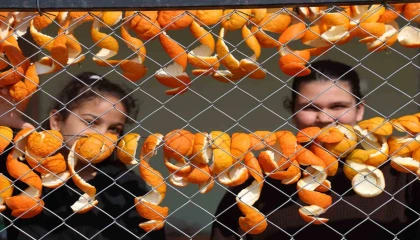 Limon ve turunç kabukları kadınların elinde değerleniyor