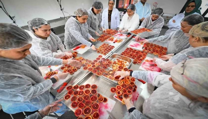 Mersinde kan portakalı kadınların elinde değer kazanıyor