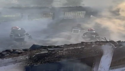 Osmaniyede çiftlikte yangın: 8 koyun ve 120 kümes hayvanı telef oldu