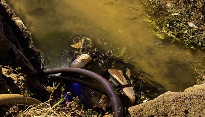 Otomobilin çarptığı elektrikli bisiklet kanala düştü: 1 ölü, 1 yaralı