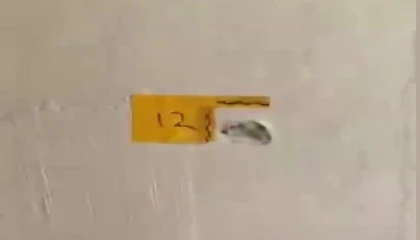 Polisiz diyerek eve giren şüpheliler anne ile oğlunu vurdu