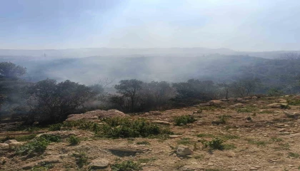 Samandağda ormanlık alanda çıkan yangın kısa sürede kontrol altına alındı