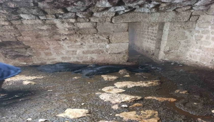 Tarsusta ahıra yıldırım düştü: 5 küçükbaş hayvan telef oldu