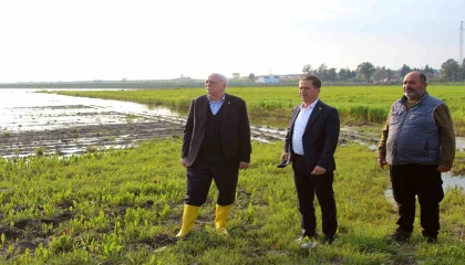 TZOB Genel Başkanı Bayraktar: Üreticilerimize muhakkak nakdi yardım yapılması gerekiyor