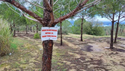 Vatandaşın ağaca astığı Tabiat temiz kalsın uyarısı yetmedi