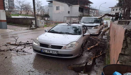 Yağmur ve şiddetli rüzgar çam ağacını devirdi, otomobil zarar gördü