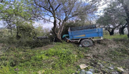 Zeytin bahçesine uçan patpatın sürücüsü öldü