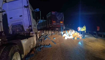 Zirai gübre yüklü tır devrildi: 1 yaralı