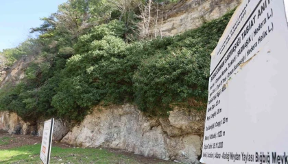 4 bin yıllık sarmaşığın gölgesinde baharı karşıladılar