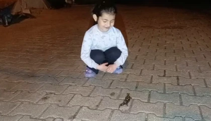 Adanada semender görüldü