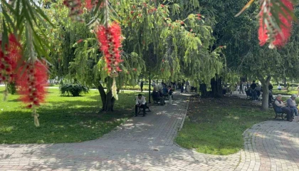 Adanada termometreler 41 dereceyi gösterdi