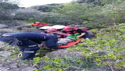 Adanada yamaç paraşütü kazası: Ağaçta mahsur kaldı