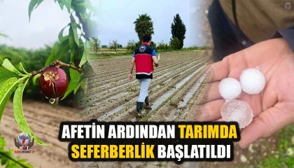 AFETİN ARDINDAN TARIMDA SEFERBERLİK BAŞLATILDI