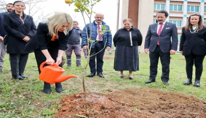 Akdeniz Üniversitesinde son 2 yılda 5 bin fidan dikildi