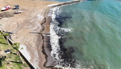 Alanyada sahildeki siyah tabaka önce tedirgin etti, gerçek sonradan ortaya çıktı