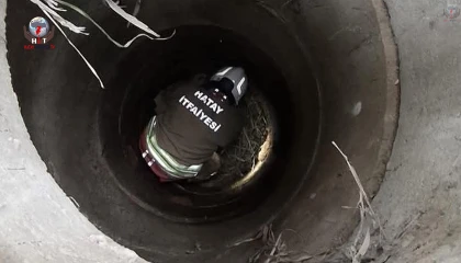 Antakyada kuyuya düşen köpeği itfaiye kurtardı