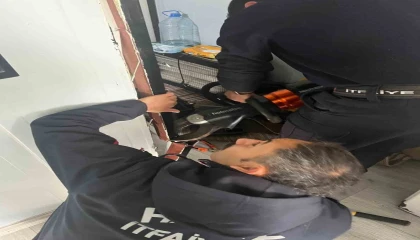 Antakyada profil demirine sıkışan kuş kurtarıldı