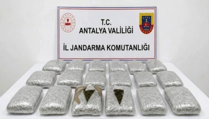 Antalyada jandarmadan uyuşturucu operasyonu: 30 kilogram skunk maddesi ele geçirildi