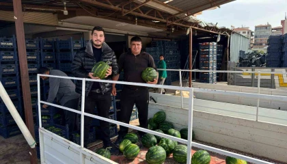 Antalyada sezonun ilk karpuz hasadı yapıldı