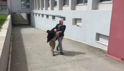 Aracında 825 kilo bonzai yapılacak ham madde yakalattı: Bana ait değil