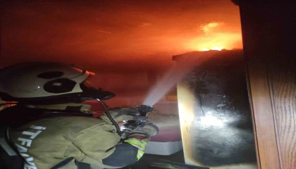 Arsuzda ev alevlere teslim oldu