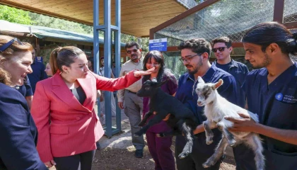 Başkan Vekili Büşra Özdemir: Veteriner hekimlerin üstlendikleri sorumluluk çok kıymetli