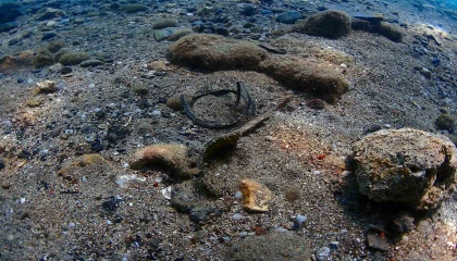 Büyükşehirden Yat Limanında deniz dip temizliği