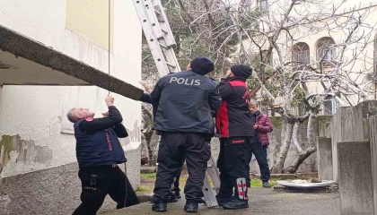 Çatı katında mahsur kalan kediyi polis ve itfaiye kurtardı